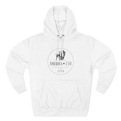 America 250 Bison Hoodie - Roaming Like a Boss Since 1776 Patriotic Hoodie