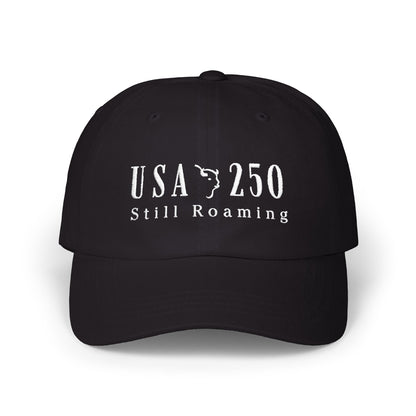 America 250 Roaming ball cap