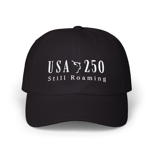 America 250 Roaming ball cap