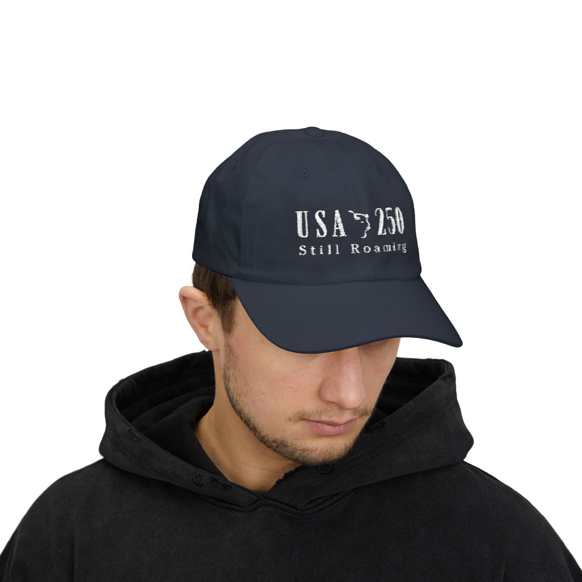 America 250 Roaming ball cap