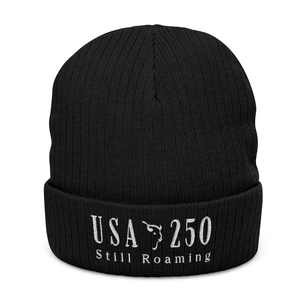 USA 250 Still Roaming Embroidered Beanie