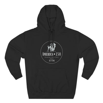 America 250 Bison Hoodie - Roaming Like a Boss Since 1776 Patriotic Hoodie