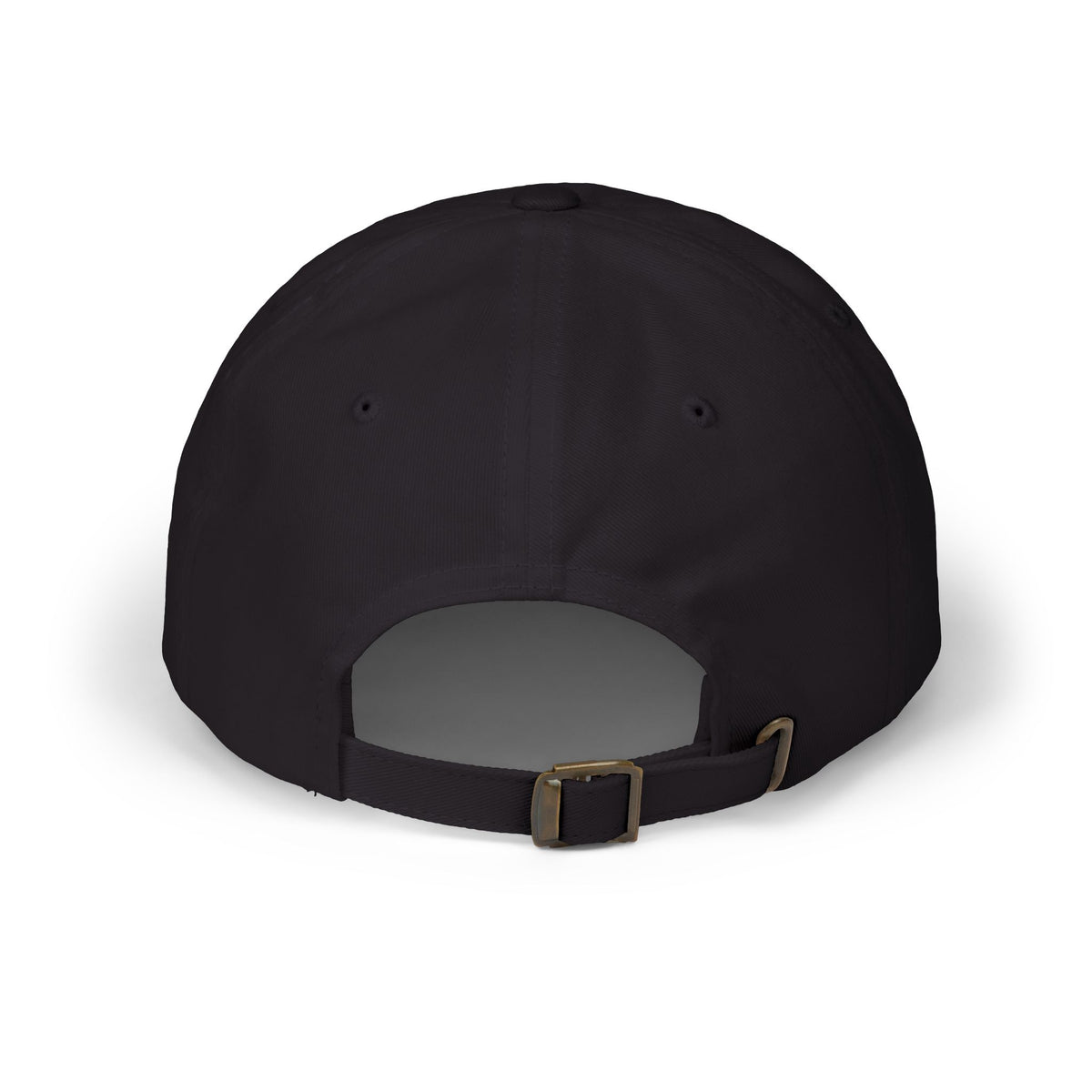 America 250 Roaming ball cap